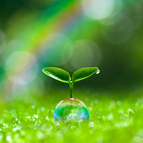 震災で倒壊した建物